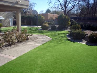 Artificial Grass Photos: Artificial Pet Grass Lawndale California Landscape, Lawns